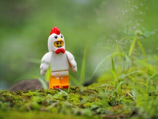 Fototapeta premium Indonesia - November 27, 2019 : Mini toy of action figure at grassland with blurred background. Toy photography concept. Chicken at outdoor with green grass conceptual design.