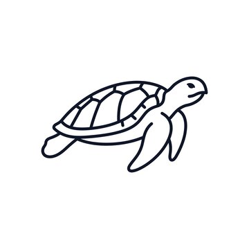 Turtle Outline Vector Icon