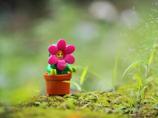 Fototapeta premium Indonesia - May 31, 2026 : Mini toy of action figure at outdoor with blur background. Miniature photography concept design. Minifigure of rose flower character at grass land.