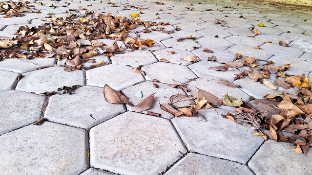 Brown autumn leaves scattered on gray hexagonal paving stones