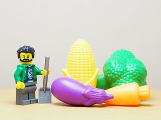 Fototapeta premium Indonesia - February 10, 2026 : Mini toy of action figure at outdoor with blur background. Miniature photography concept design. Minifigure of farmer character with corn, broccoli, eggplant and carrot