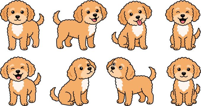 Cute cartoon goldendoodle puppy emoji stickers vector illustration collection featuring a happy fluffy poodle mix dog in various expressive sitting and standing poses isolated on white background