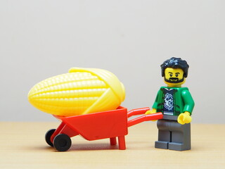 Fototapeta premium Indonesia - February 10, 2026 : Mini toy of action figure at outdoor with blur background. Miniature photography concept design. Minifigure of farmer character with vegetable. Agriculture at farm.
