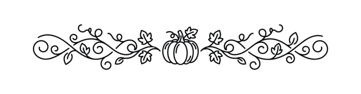 Autumn Pumpkin Vine Page Divider Line Art, Autumn Leaves Floral Border Line Vector Illustration, Thanksgiving Decorative Swirl Divider Element, Fall Season Calligraphic Scroll Border Line Art