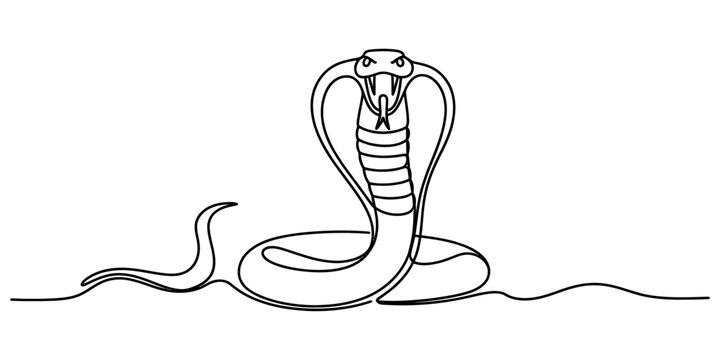 Continuous single line drawing of an angry cobra snake with its hood spread open and fangs showing in a minimal style Vector, illustration
