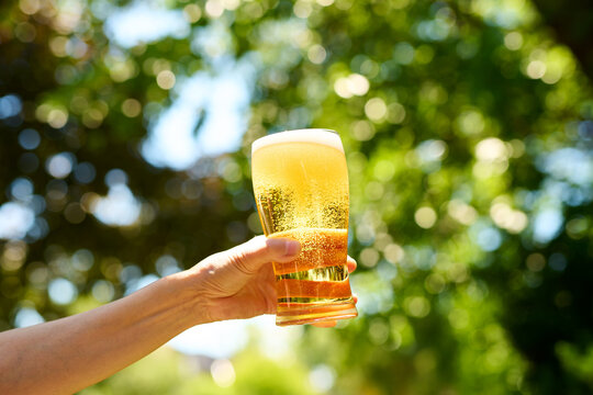 Glass of Beer Against Trees 