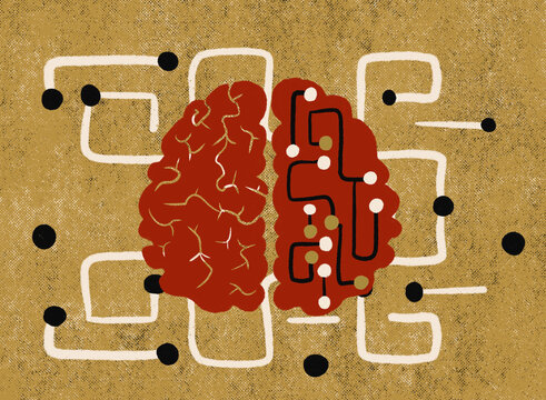 Understanding Brain Function Through Visual Representation of Neurons
