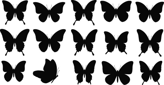 Butterfly silhouette collection, diverse wing shapes, insect design, black vector butterflies, entomology art, nature icons, taxonomy reference, graphic elements
