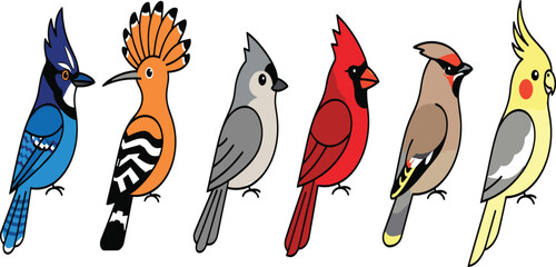 Crested Forest and Garden Birds Icon Set Featuring Blue Jay, Eurasian Hoopoe, Tufted Titmouse, Northern Cardinal, Cedar Waxwing, and Cockatiel Vector Illustrations © Anisur