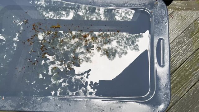 Water drops rippling on a clear plastic tub lid with dirt and debris