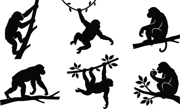 Monkey Silhouette Vector Collection Featuring Climbing, Hanging, Sitting, and Walking Poses for Jungle Wildlife Design