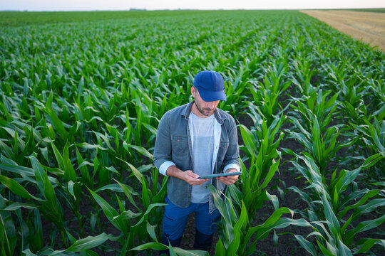 Checking Crops on a Tablet