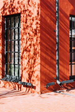 Orange wall shows shadows from nearby plants and structures