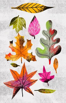 Textured Autumn Leaves and Berries Collection
