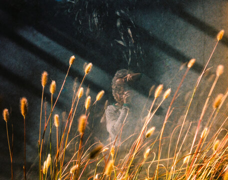 Photographer Self Portrait 