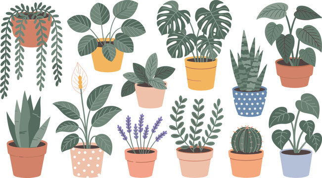 Here are your SEO-optimized titles and keywords for your houseplant vector collection, tailored for Adobe Stock.