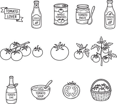Tomato illustrations featuring whole sliced cherry and vine tomatoes with leaves and an eggplant hand drawn skech vector
