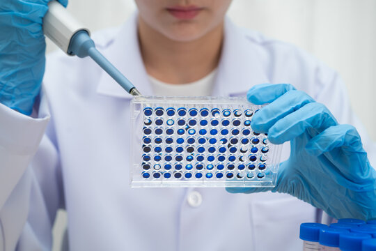 Scientist with cell culture in sample micro plate for research in science laboratory.