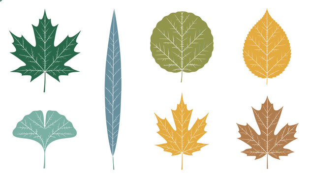 Collection of realistic autumn leaves in different shapes and colors like green, yellow, brown, and light blue.