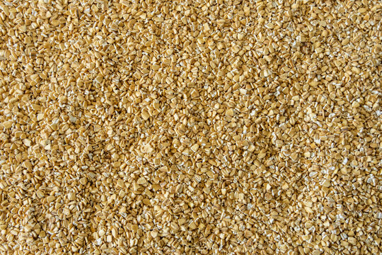 Closeup of steel cut oats