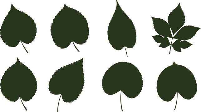 Collection of various green leaf shapes and clusters isolated on transparent background for nature design projects