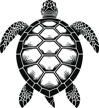 A single turtle shell with perfectly symmetrical hexagonal pattern, ultra clean vector line art, bold black outline only, thick stroke, single object, minimalist, centered composition