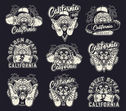 Black bear designs CA