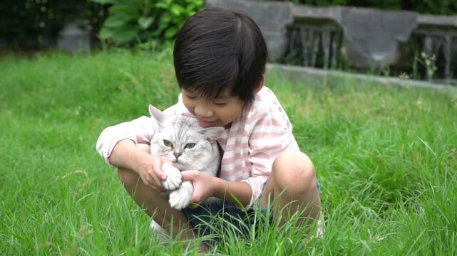 Cute Asian boy hugging and playing with a silver cat on green grass outdoors.