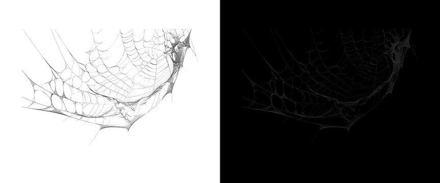 Spooky spider web overlay on white and black backgrounds, realistic cobweb texture for Halloween design, intricate silk spiderweb pattern