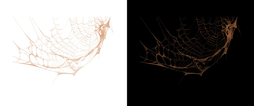 Intricate spider web design elements, golden cobweb textures on black and white backgrounds, spooky halloween decorative spiderweb set