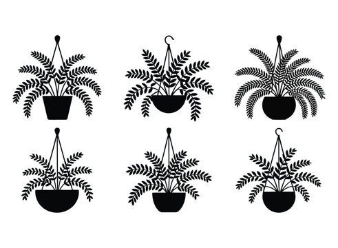 Collection of six black silhouette hanging potted ferns isolated on a white background