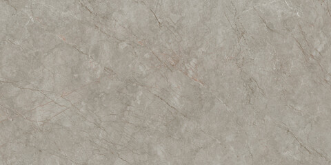 Fototapeta premium Light Grey Quartzite Stone Texture Background with Natural Mineral Pattern