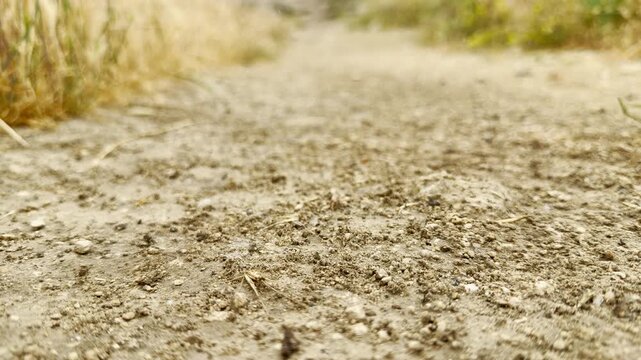 First raindrops fall softly onto a parched dirt path. The thirsty earth waits quietly, bringing a hopeful feeling of relief.
