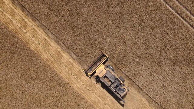 Combine harvester harvesting crop in farm field, aerial view