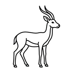 Fototapeta premium Elegant gazelle antelope line art drawing with antelope wildlife standing illustration graceful