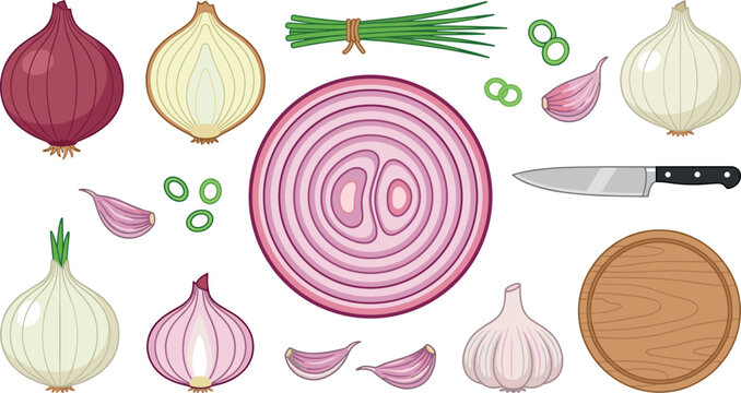 Fresh onion and garlic vector element set featuring red yellow white whole cut sliced round ring chives cloves knife and cutting board