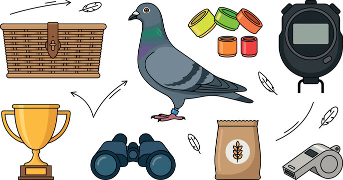 Pigeon racing sports vector element set featuring racing homing pigeon bird basket trophy binoculars stopwatch leg bands feed bag and whistle
