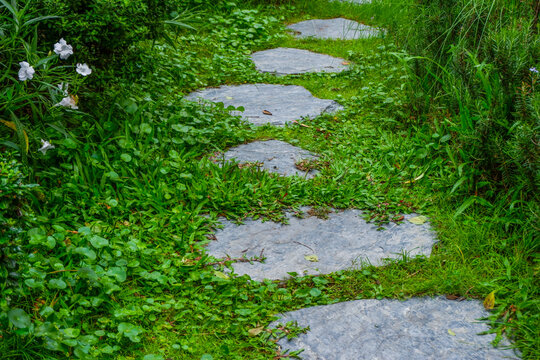 Garden landscape design with pathway in garden and footpath in picturesque summer park and staircase in backyard,Paving stones on floor in park,space for text.