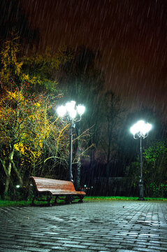 Autumn rainy night city landscape - a wooden park bench lit by street lights under falling rain