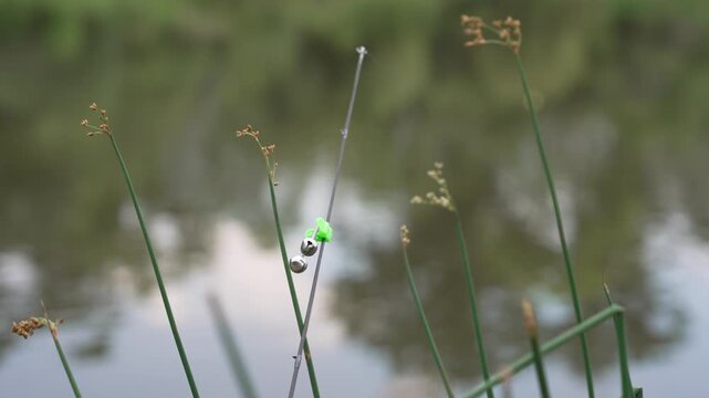 Close-up 4K footage of a small fishing bite alarm bell attached to the tip of a fishing rod beside a pond. The bell is used as a simple bite indicator to alert an angler when a fish pulls the line.