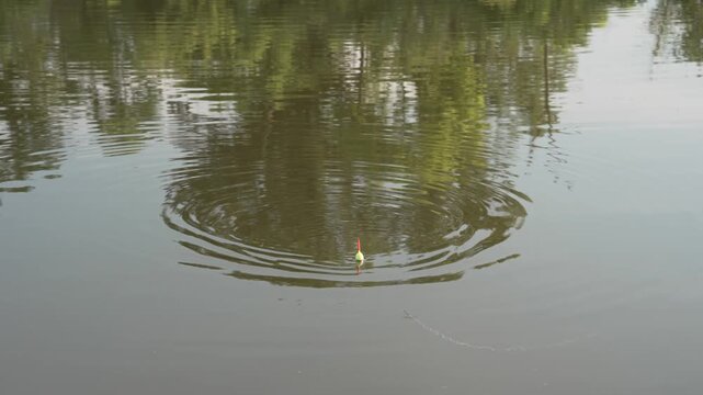 4K footage of a fishing float moving and creating ripples on calm pond water as a fish bites the bait. Peaceful freshwater fishing scene showing a bobber reacting to movement beneath the surface.