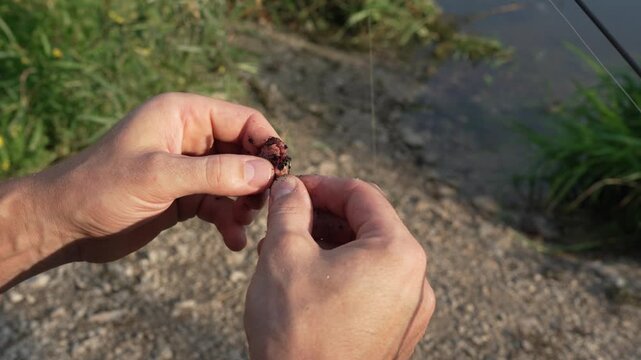 Close-up 4K 60fps footage of a fisherman putting a live worm on a fishing hook beside a pond. Detailed outdoor fishing scene showing hands preparing natural bait before casting the line.