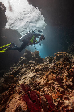 Vertical view of an underwater photographer swimming in a coral reef cave or cavern