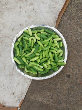 Fresh Ivy Gourd (Tindora) in Bowl Isolated at Traditional Indian Vegetable Market