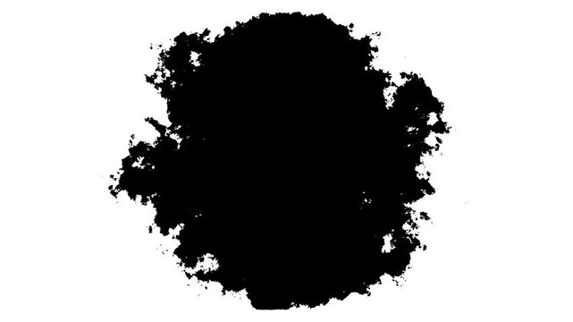 Ink transition splatter blot spreading from centre, white ink watercolor effect on wet black canvas, ink drop effect, alpha layer filter on a white background, paint animation video,4k video