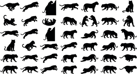 Tiger silhouette set with wild big cats running jumping sitting walking fighting and pouncing in various dynamic poses isolated vector illustration © Mehedi