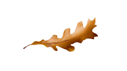 Naklejka premium Single dried brown oak leaf isolated on transparent background for digital design and png projects