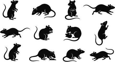 Obraz premium Rat Silhouette Vector Icon Set For Pest Control