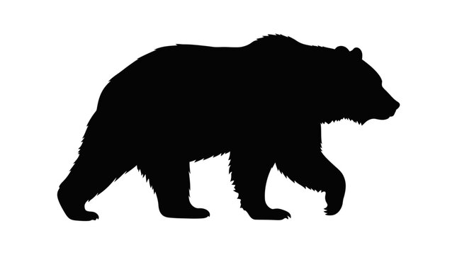 Black bear walking silhouette against a white background silhouette