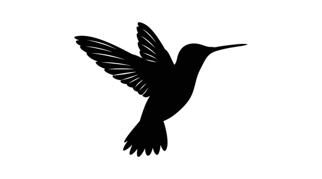 Hummingbird In Flight Black Silhouette avian bird